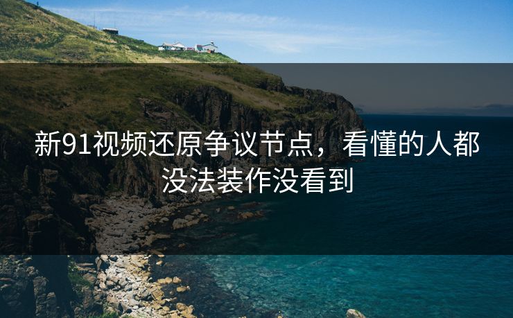 新91视频还原争议节点，看懂的人都没法装作没看到