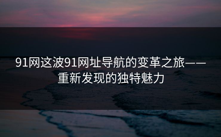 91网这波91网址导航的变革之旅——重新发现的独特魅力