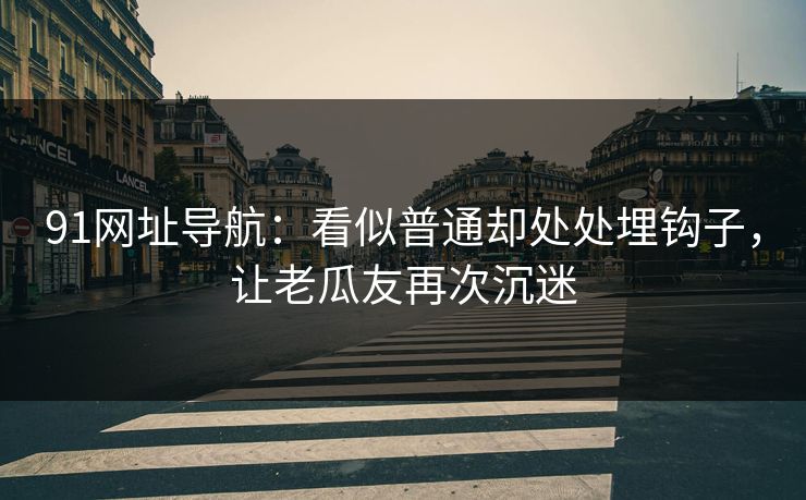 91网址导航：看似普通却处处埋钩子，让老瓜友再次沉迷