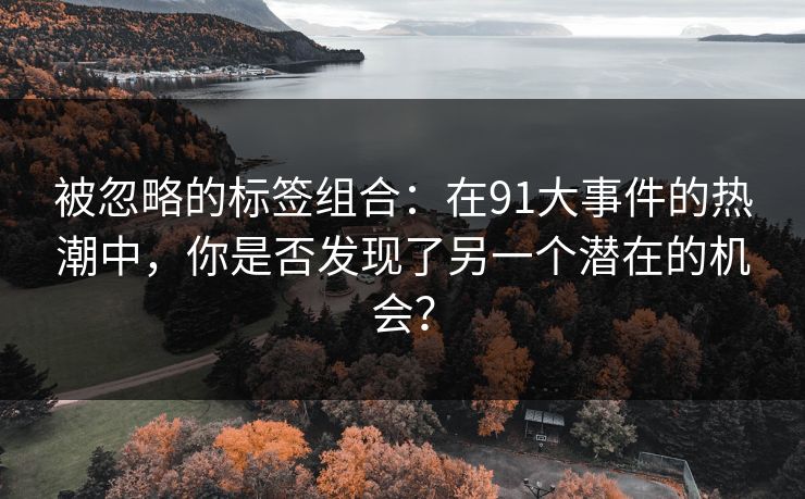 被忽略的标签组合：在91大事件的热潮中，你是否发现了另一个潜在的机会？