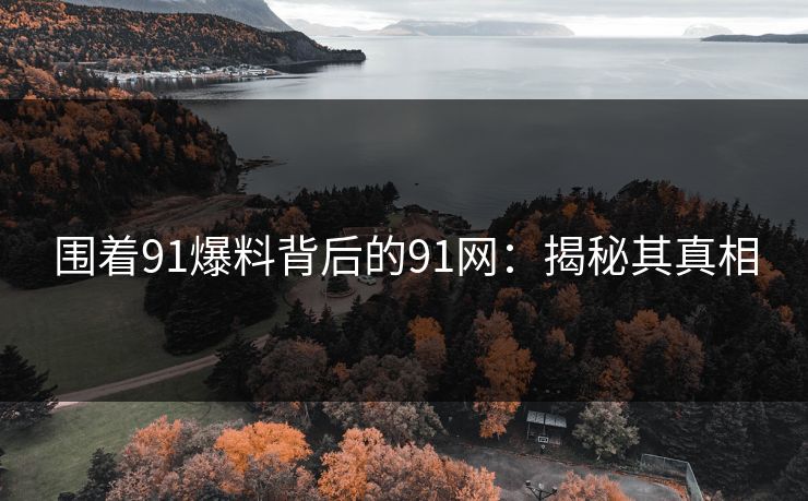 围着91爆料背后的91网：揭秘其真相