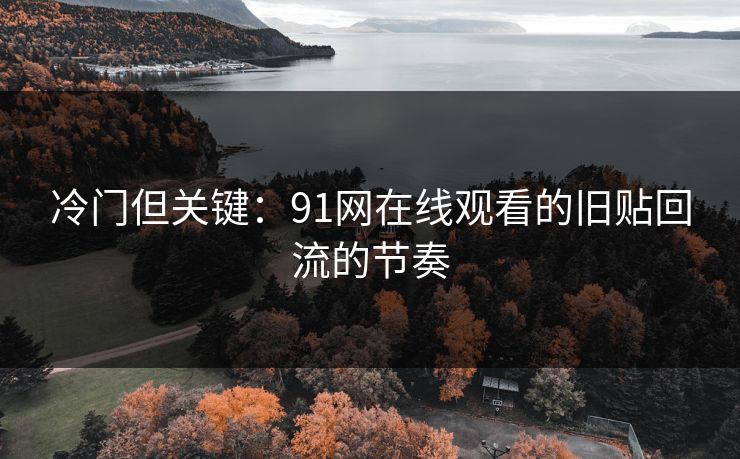 冷门但关键：91网在线观看的旧贴回流的节奏