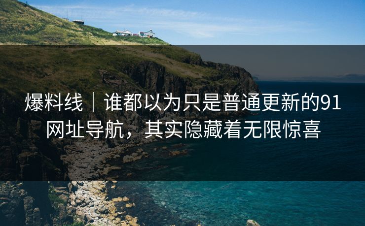爆料线｜谁都以为只是普通更新的91网址导航，其实隐藏着无限惊喜