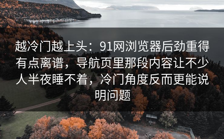 越冷门越上头：91网浏览器后劲重得有点离谱，导航页里那段内容让不少人半夜睡不着，冷门角度反而更能说明问题