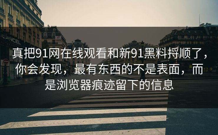 真把91网在线观看和新91黑料捋顺了，你会发现，最有东西的不是表面，而是浏览器痕迹留下的信息