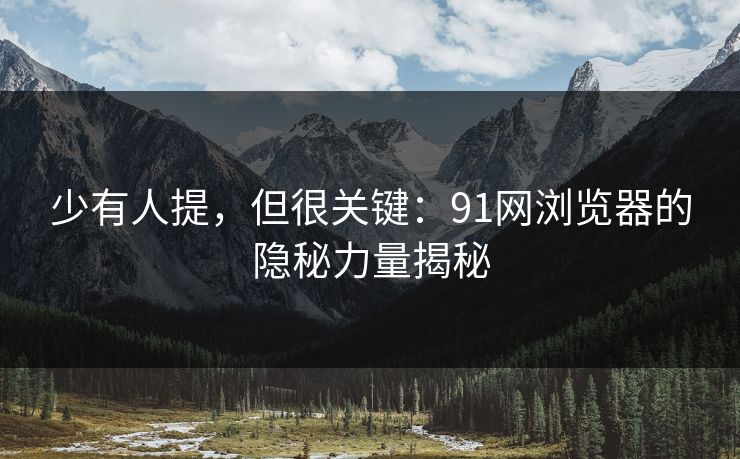 少有人提，但很关键：91网浏览器的隐秘力量揭秘