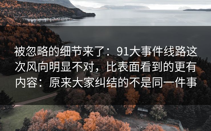 被忽略的细节来了：91大事件线路这次风向明显不对，比表面看到的更有内容：原来大家纠结的不是同一件事