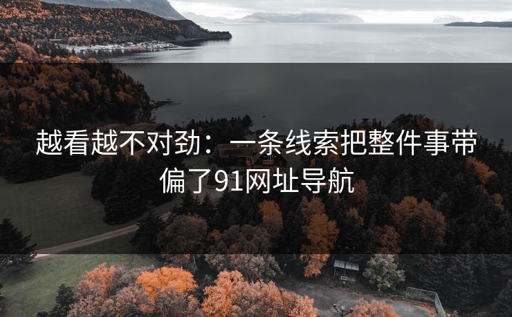 越看越不对劲：一条线索把整件事带偏了91网址导航