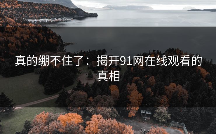 真的绷不住了：揭开91网在线观看的真相